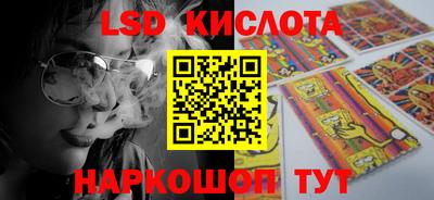 гидра Ставрополь