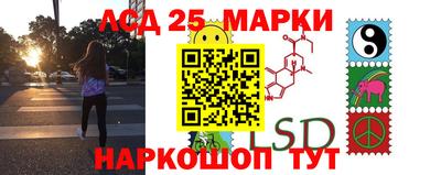 гидра Ставрополь