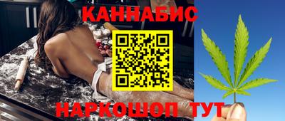 гидра Ставрополь