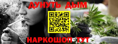 гидра Ставрополь