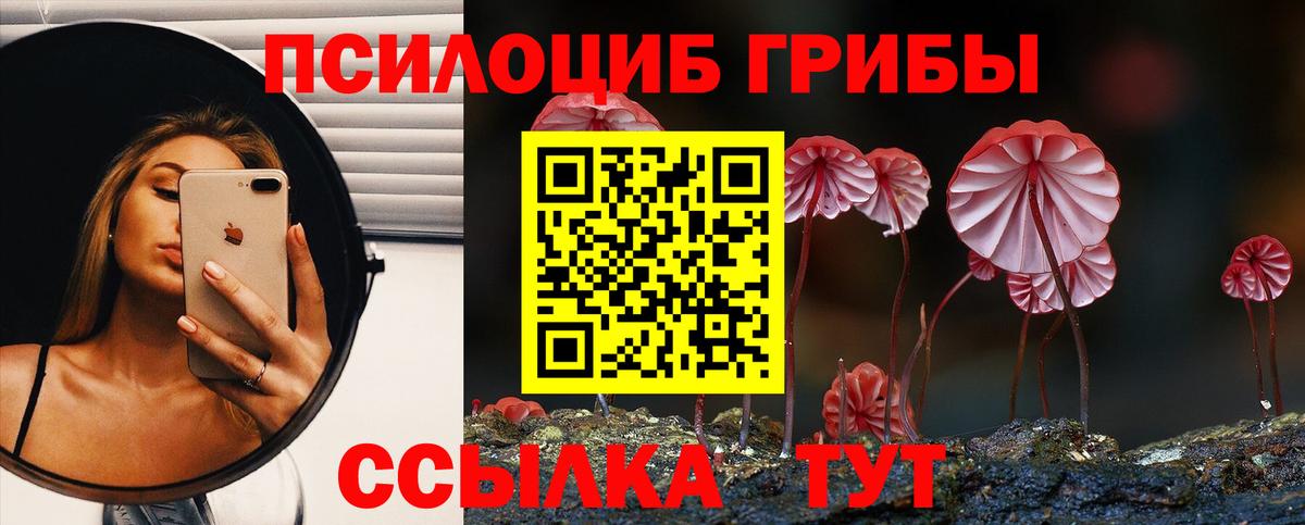 Галлюциногенные грибы мухоморы Нововоронеж