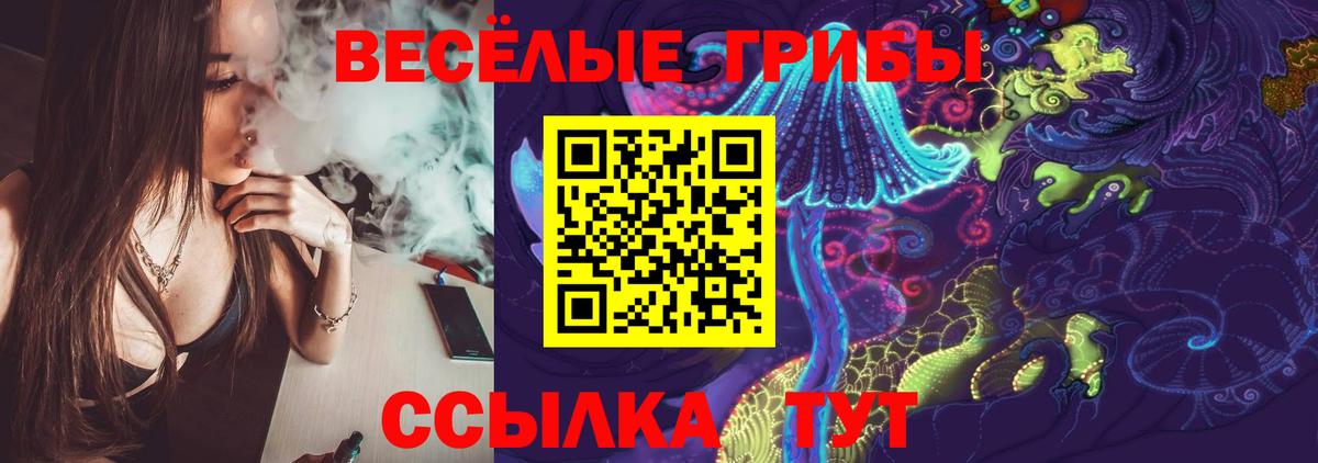 Нововоронеж  Галлюциногенные грибы мицелий  что такое наркотик  Вход с VPN  Галлюциногенные грибы мицелий 